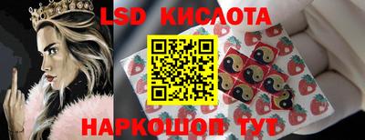 шишки Балашиха