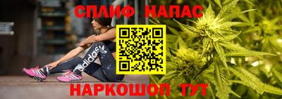 шишки Балашиха